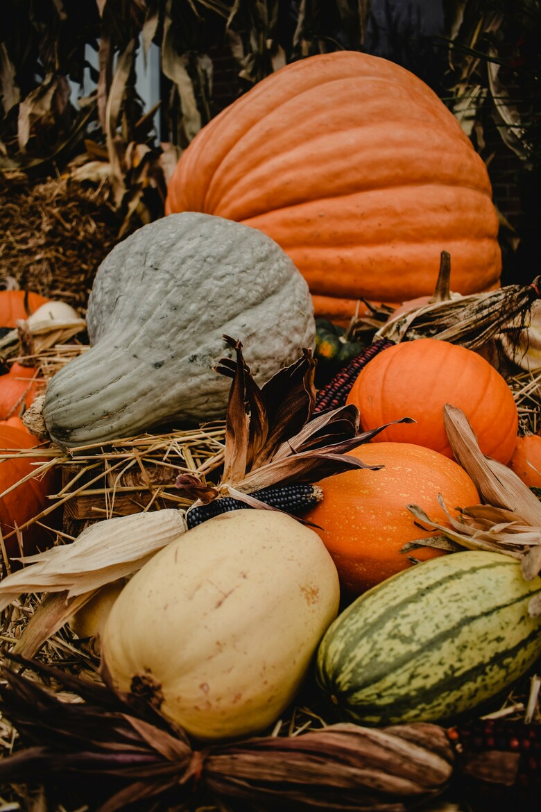 Modified Garbage Schedule | Thanksgiving Weekend