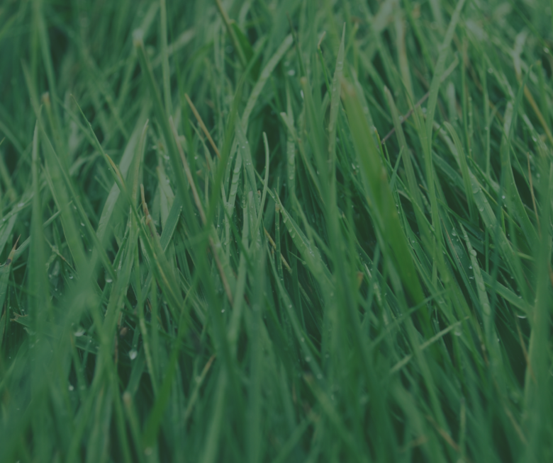 Grass Clipping Program